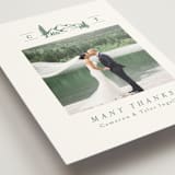 "Blue Ridge" - Wedding Thank You Postcards in Pine by Amy Kross - Detail