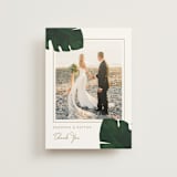 "Palm" - Wedding Thank You Postcards in Classic Palm by Kaydi Bishop - Front