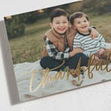 "Lettered Thankful" - Thanksgiving Cards in Snow by Itsy Belle Studio - Detail
