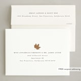"Autumn" - Thanksgiving Cards in Acorn by Angela Garrick - FREE Recipient Addressing