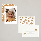 "Falling For You" - Thanksgiving Cards in Snowflakes by Hudson meet Rose - Assembled