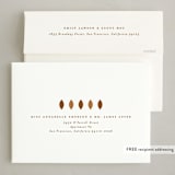 "Thankful Sentiment" - Thanksgiving Cards in Nutmeg by Sandra Picco Design - FREE Recipient Addressing