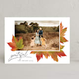 "Maple Lovers" - Thanksgiving Cards in Autumn by Grae - Front