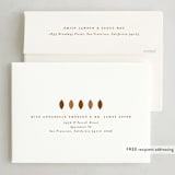 "Thankful Sentiment" - Thanksgiving Cards in Nutmeg by Sandra Picco Design - FREE Recipient Addressing