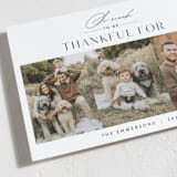 "So Thankful Trio" - Thanksgiving Cards in Snow by Nicoletta Savod - Detail