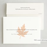 "Gracious" - Thanksgiving Cards in Salt by Mary Kay Garttmeier - FREE Recipient Addressing