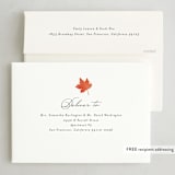 "Simple Script" - Thanksgiving Cards in Cotton by Morgan Kendall - FREE Recipient Addressing