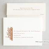 "Canvas" - Thanksgiving Cards in Cider by Kate Ross - FREE Recipient Addressing