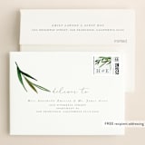 "Botanical Frame" - Wedding Thank You Cards in Fern by Kate Ahn - FREE Recipient Addressing