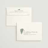 "Succulent Surround" - Wedding Thank You Cards in Cloud by Susan Moyal - FREE Recipient Addressing