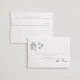 "Silver Dollar Eucalyptus" - Wedding Thank You Cards in Silver Dollar by Shannon Chen of Four Wet Feet Studio - FREE Recipient Addressing