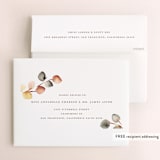 "Bella Mia" - Wedding Thank You Cards in Autumn by Petra Kern - FREE Recipient Addressing