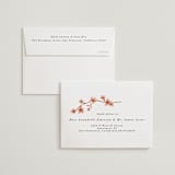 "Love Blossom" - Wedding Thank You Cards in Blush by Petra Kern - FREE Recipient Addressing