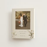 "Parisian Garden" - Wedding Thank You Cards in Petal by Nicoletta Savod - Front