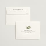 "Bliss" - Wedding Thank You Cards in Champagne by Leah Bisch - FREE Recipient Addressing