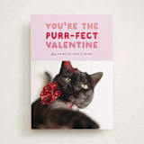 "Purr-fect Valentine" - Valentine's Day Cards in Berry by Carmia Jordaan - Front