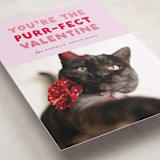 "Purr-fect Valentine" - Valentine's Day Cards in Berry by Carmia Jordaan - Detail