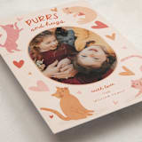 "PurrsHugs" - Valentine's Day Cards in Cherry by Vera Lim - Detail