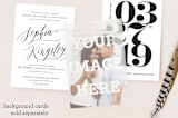 "The Big Picture" - Vellum Overlays in Mist by Minted - Vellum with Card
