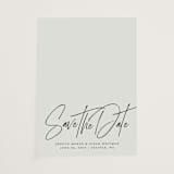 "Willow" - Vellum Overlays in Ink by Sandra Picco Design - Vellum Overlay