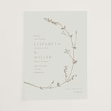"Vine Wrap" - Vellum Overlays in Cotton by Amy Kross - Vellum Overlay
