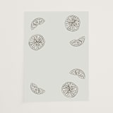 "Garnish" - Vellum Overlays in Olive by Megan Davis - Vellum Overlay