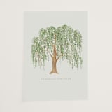 "Weeping Willow (add-on)" - Vellum Overlays in Ivory by Petra Kern - Vellum Overlay