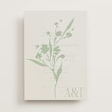 "Helena" - Vellum Overlays in Pistachio by Kate Ahn - Vellum with Card