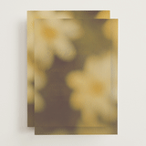 "Bloom" - Vellum Overlays in Caribbean Citrus by Morgan Kendall - Front