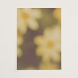 "Bloom" - Vellum Overlays in Caribbean Citrus by Morgan Kendall - Vellum Overlay