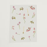 "Barolo" - Vellum Overlays in Deep Blush by Pati Cascino - Vellum Overlay