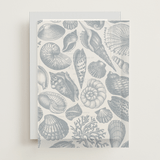 "Seashore" - Vellum Overlays in Coast by Kelly Schmidt - Front