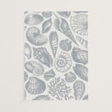 "Seashore" - Vellum Overlays in Coast by Kelly Schmidt - Vellum Overlay