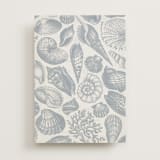 "Seashore" - Vellum Overlays in Coast by Kelly Schmidt - Vellum with Card