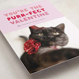 "Purr-fect Valentine" - Valentine's Day Cards in Berry by Carmia Jordaan - Detail