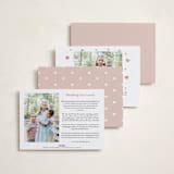 "Bordered" - Valentine's Day Cards in Blush by Kristen Knechtel - Back of Card Options