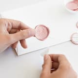 "Eucalyptus in Blush | Paula Lee Calligraphy x Artisaire (pack of 25)" - Wax Seals, Pack of 25 in Blush by Minted - Adhesive Backer