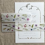 "Colorful English botanical garden printed floral vellum belly band 1.5 inch wide for 5x7 inches card | pack of 10" - Belly Bands in multicolorassorted-colors by Ivory Invitations