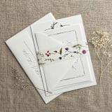 "Colorful English botanical garden printed floral vellum belly band 1.5 inch wide for 5x7 inches card | pack of 10" - Belly Bands in multicolorassorted-colors by Ivory Invitations