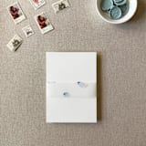 "Oysters Watercolor Vellum Belly Band | For 5x7" Invitations | Set of 10" - Belly Bands in blue by Cotton and Bow