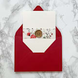 "Red Wildflower Vellum Belly Band for Wedding Invitations 1.5" (25 pack)" - Belly Bands in red by Carley Zuercher