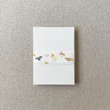 "Butterfly Wildflower Vellum Belly Band | For Petite 4.25x6" Invitations | Set of 10" - Belly Bands in multicolor by Cotton and Bow