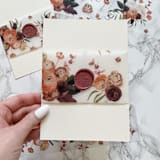 "Fall Floral Vellum Belly Band (25 Pack)" - Belly Bands in clear by Carley Zuercher