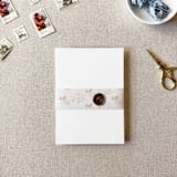 "Blush Pink Toile Vellum Belly Band | For Petite 4.25x6" Invitations | Set of 10" - Belly Bands in pink by Cotton and Bow