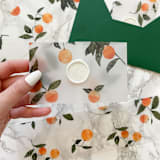 "Orange Vellum Belly Band for Invitaitons (25 Pack)" - Belly Bands in orange by Carley Zuercher