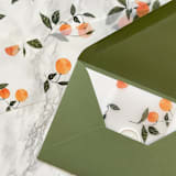 "Orange Vellum Belly Band for Invitaitons (25 Pack)" - Belly Bands in orange by Carley Zuercher