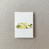 "Lemon Vellum Belly Band | For 5x7" Invitations | Set of 10" - Belly Bands in yellow by Cotton and Bow