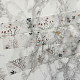 "Neutrals Wildflower Vellum Belly Band for Wedding Invitations 1.5" (25 pack)" - Belly Bands in clear by Carley Zuercher