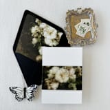 "Vintage Neutral Floral Vellum Belly Bnads For Wedding Invitations | Set Of 25" - Belly Bands in white by Eva Friesen