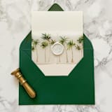 "Palm Tree Vellum Belly Band for Beach Wedding Invitations (25 Pack)" - Belly Bands in green by Carley Zuercher